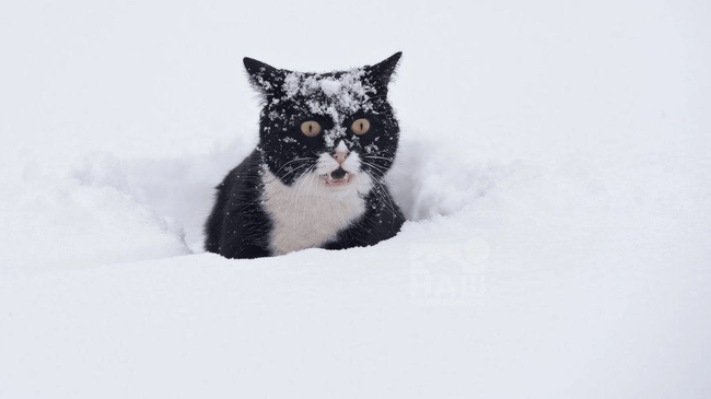 ❄ В Челябинской области ожидается снегопад